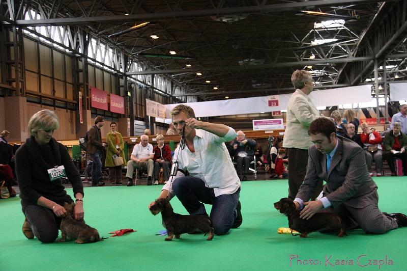 Crufts2011_2 1274.jpg